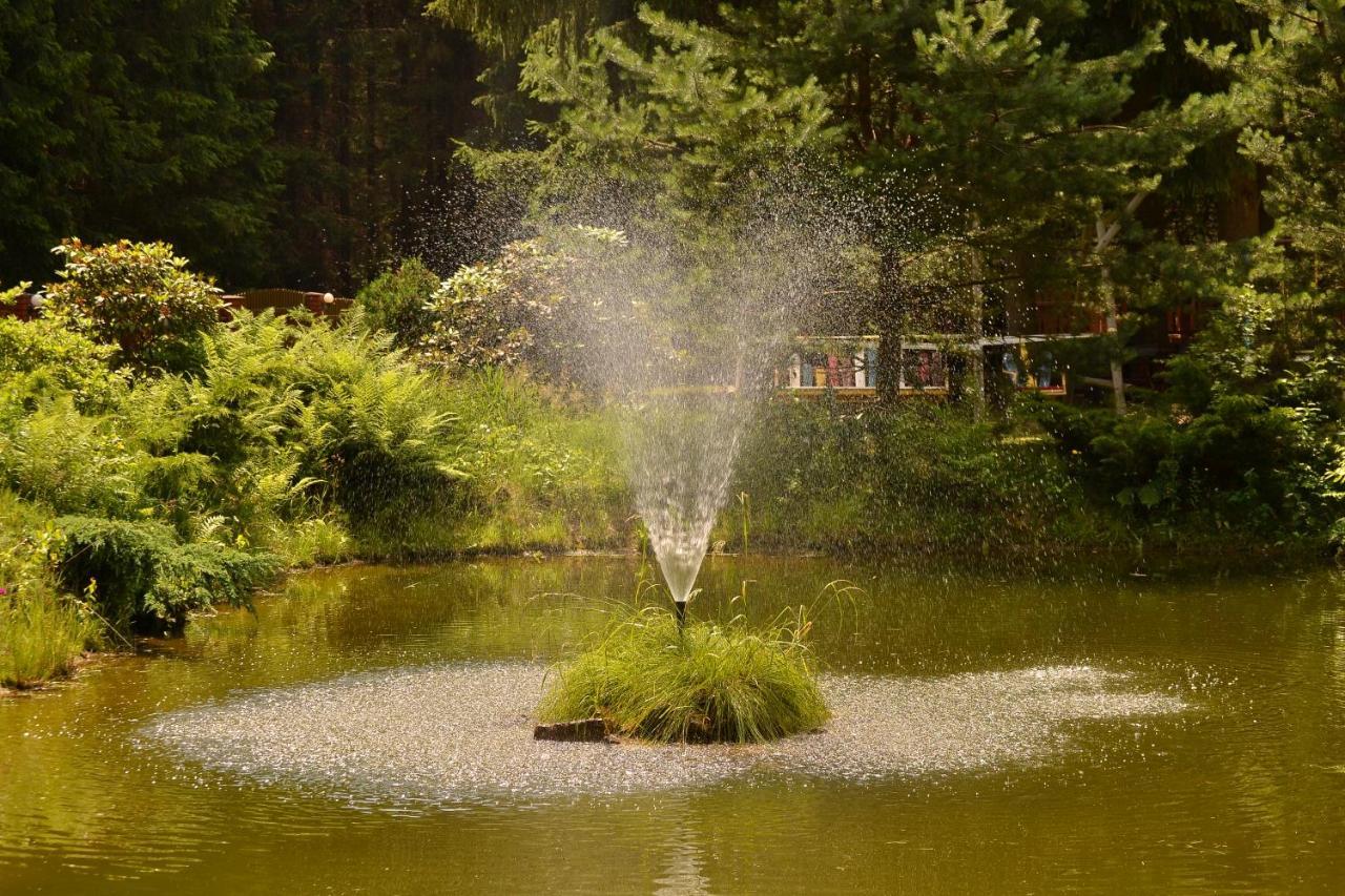 Zadrna Rezydencja Aparthotel Chełmsko Śląskie Exterior foto